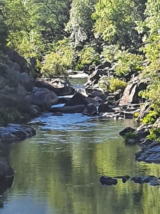 فندق فييرا دو مينهوفي  Quinta Do Sorilhal المظهر الخارجي الصورة